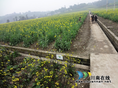 土地“双保”举措，筑牢生态江阳(图9)