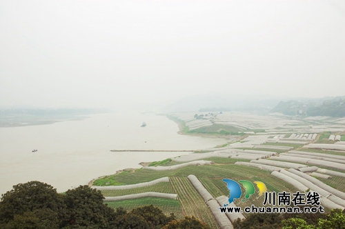 土地“双保”举措，筑牢生态江阳(图13)