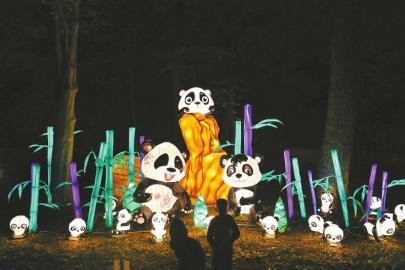 自贡彩灯闪耀罗马尼亚锡比乌国际戏剧节(图1)