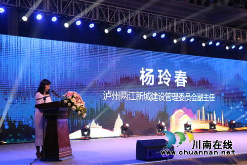 泸州·绿地城一周年盛典暨新品发布会盛大启幕(图4)