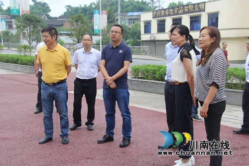 省上对泸县云龙创建国家卫生乡镇进行检查验收(图1)