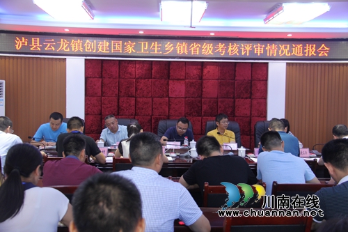 省上对泸县云龙创建国家卫生乡镇进行检查验收(图2)