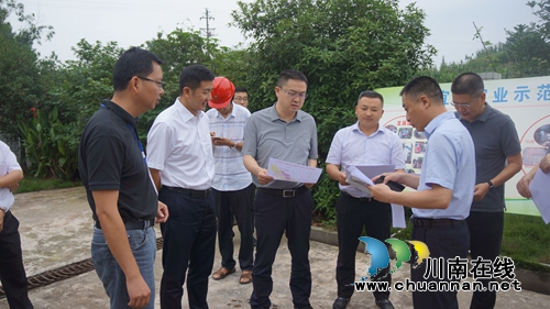 杨晓到泸县立石镇督导龙溪河河长制工作(图1)