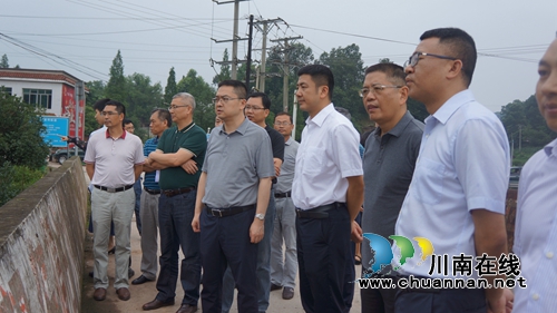 杨晓到泸县立石镇督导龙溪河河长制工作(图2)