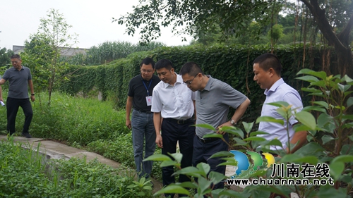杨晓到泸县立石镇督导龙溪河河长制工作(图3)
