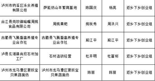 泸州第六届创新创业大赛初赛结束&nbsp;36选手闯关(图5)