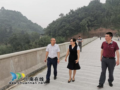合江县人大到虎头镇检查河长制和水污染防治工作(图2)