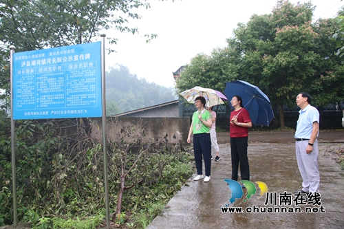 陈佳到泸县潮河镇调研脱贫攻坚、河长制工作(图3) 陈佳到泸县潮河镇调研脱贫攻坚、河长制工作(图3)