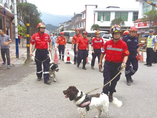 长宁地震：天灾无情催人泪&nbsp;温暖面庞震人心(图7)