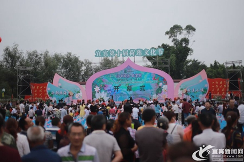 太美了！宜宾翠屏区永兴镇万亩荷花相继盛开(图4)