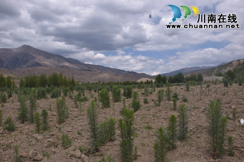 建基础&nbsp;谋营销&nbsp;泸州扎实帮扶稻城产业发展(图3)