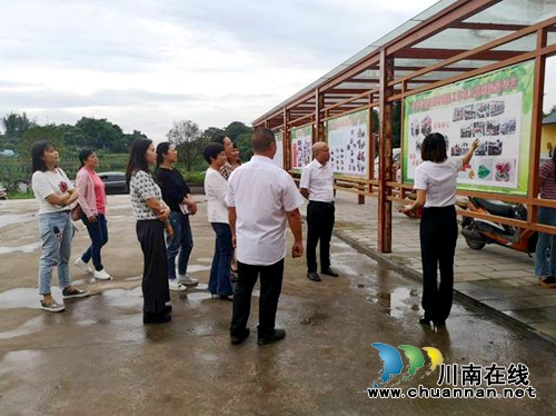 泸州市妇联、龙马潭领导关心安民村儿童画院(图4)