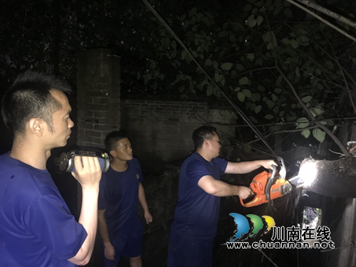 泸州:雨夜大树倒塌 消防队员挑灯夜战排险(图1) 泸州:雨夜大树倒塌 消防队员挑灯夜战排险(图1)