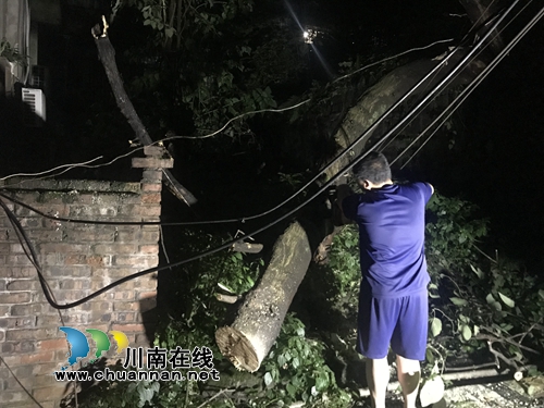泸州:雨夜大树倒塌 消防队员挑灯夜战排险(图3) 泸州:雨夜大树倒塌 消防队员挑灯夜战排险(图3)