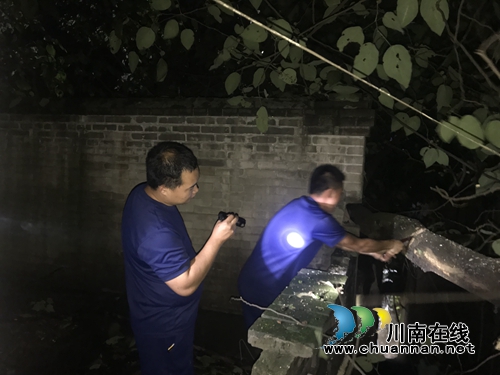 泸州:雨夜大树倒塌 消防队员挑灯夜战排险(图4) 泸州:雨夜大树倒塌 消防队员挑灯夜战排险(图4)