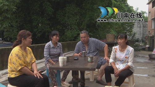 小小蒲公英&nbsp;合江三个女人整起了“致富经”(图2)