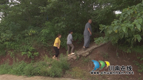 小小蒲公英&nbsp;合江三个女人整起了“致富经”(图8)