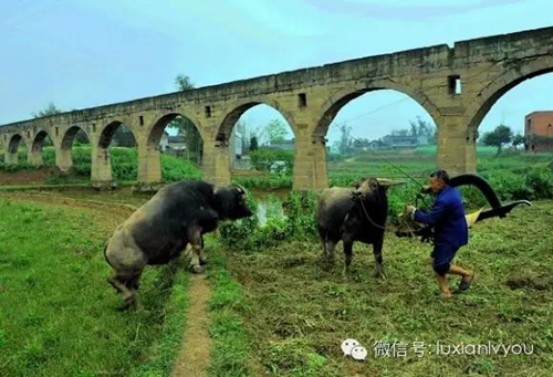 泸县渡槽：雄伟壮丽的身影&nbsp;世代不朽的精神(图6)