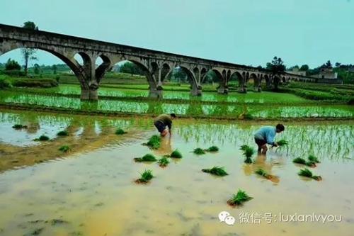 泸县渡槽：雄伟壮丽的身影&nbsp;世代不朽的精神(图8)