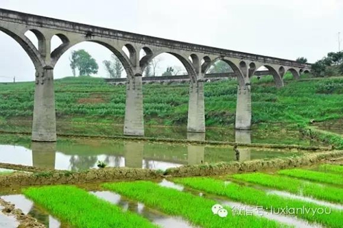 泸县渡槽：雄伟壮丽的身影&nbsp;世代不朽的精神(图17)