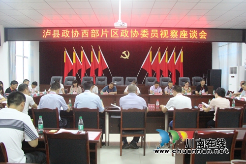 泸县政协西部片区政协委员视察座谈活动走进海潮镇(图2)