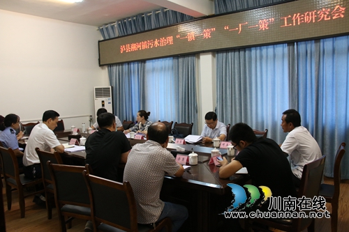 泸县综合行政执法局、县生态环境局到潮河镇调研污水治理工作(图1)