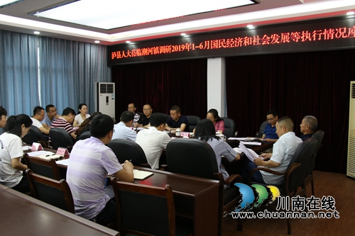 余冰率队调研泸县潮河镇1-6月国民经济和社会发展等执行情况(图2)