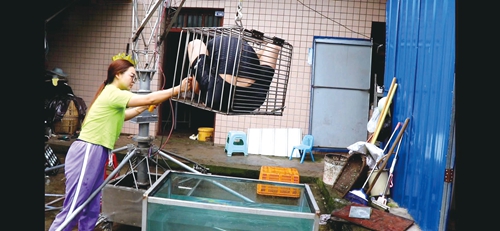 有梦想就有舞台&nbsp;用汗水浇灌精彩(图4)