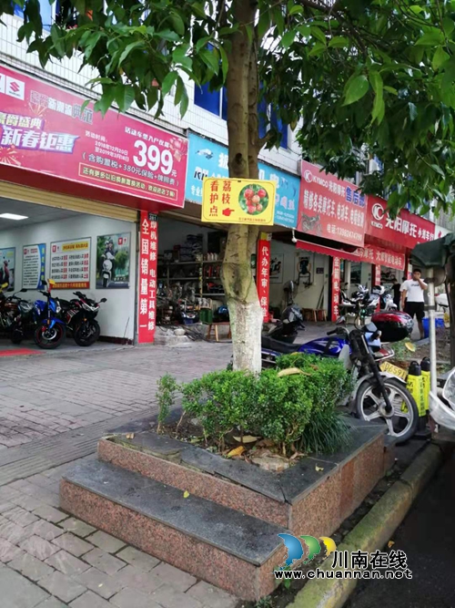 @合江人：甜美荔枝渐成熟，偷摘要遭哈！(图1)