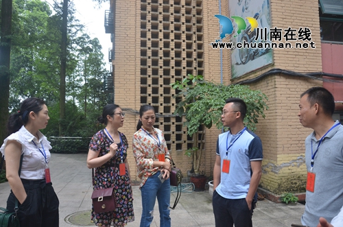 江阳区华阳街道人大工委组织区人大代表开展集中视察调研活动(图1)