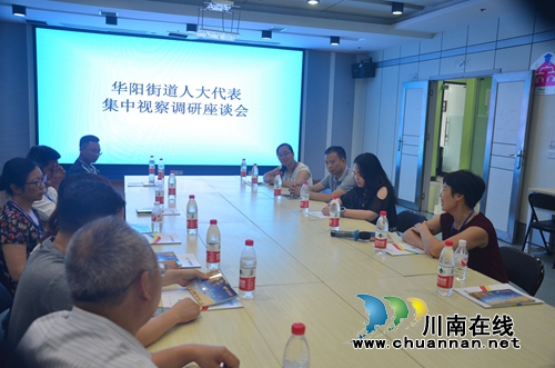 江阳区华阳街道人大工委组织区人大代表开展集中视察调研活动(图2)