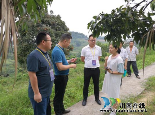 泸州市第六届创新创业大赛分组决赛结束(图2)