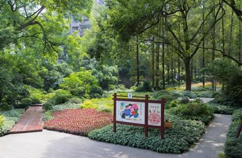 泸州市民的倡议：爱护美丽环境&nbsp;争做文明市民(图1)