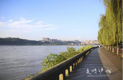 泸州市民的倡议：爱护美丽环境&nbsp;争做文明市民(图2)