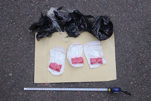 自贡破获重大贩毒案 缴获毒品300余克(图3) 自贡破获重大贩毒案 缴获毒品300余克(图3)