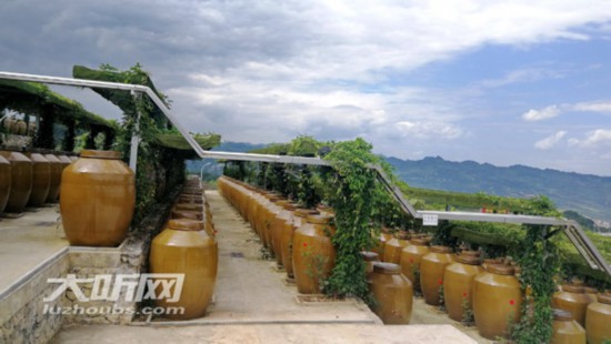 时间过半&nbsp;任务过半&nbsp;泸州白酒产业交出答卷(图2)