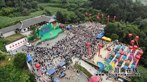 古蔺茅溪杨梅熟了！赶紧约起去享受清凉狂欢季(图1)