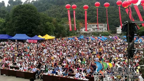 古蔺茅溪杨梅熟了！赶紧约起去享受清凉狂欢季(图3)