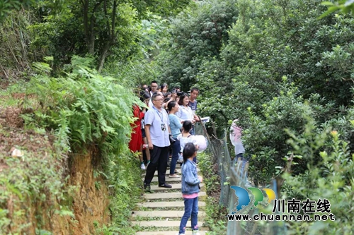 古蔺茅溪杨梅熟了！赶紧约起去享受清凉狂欢季(图14)