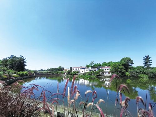 践行绿色发展&nbsp;守护酒城碧水蓝天(图4)