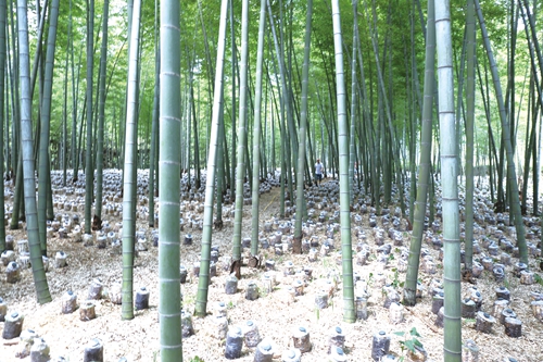 践行绿色发展&nbsp;守护酒城碧水蓝天(图2)