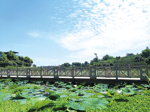 践行绿色发展&nbsp;守护酒城碧水蓝天(图5)