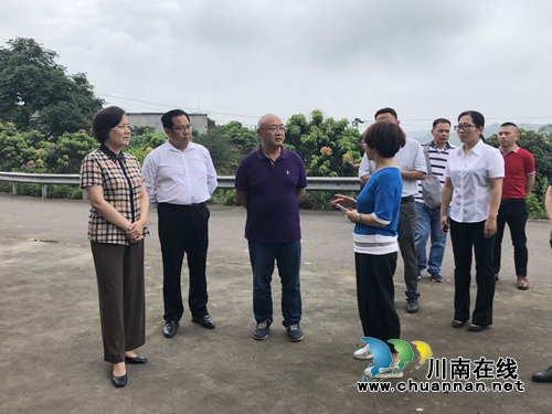 泸州市人大常委会调研合江县美丽乡村建设(图2)