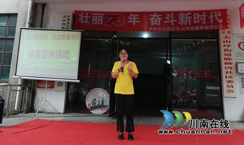 江阳区大山坪街道麻柳湾社区积极开展暑期禁毒宣传活动(图3)