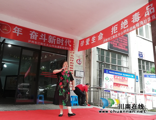 江阳区大山坪街道麻柳湾社区积极开展暑期禁毒宣传活动(图2)