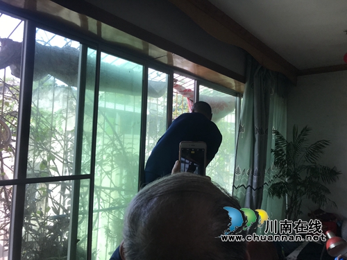 泸州消防巧取马蜂窝&nbsp;提醒市民不要擅自行动(图3)