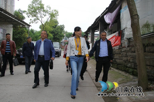 泸州市农业农村局到泸县调研农村人居环境整治开展情况(图1)