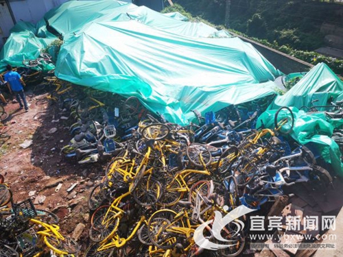 宜宾存在“共享单车”坟场? 部分企业开始认领(图1) 宜宾存在“共享单车”坟场? 部分企业开始认领(图1)