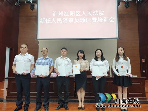 江阳区：123名新任人民陪审员进行宣誓就职(图3)