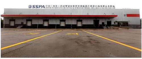 乘自贸东风&nbsp;书写蓬勃发展的龙马新篇章(图2)